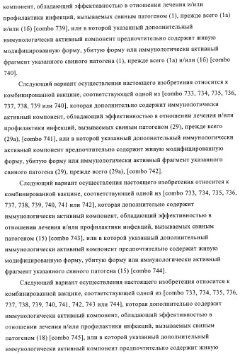 Иммуногенные композиции, содержащие lawsonia intracellularis (патент 2443430)