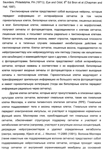 Соединения, представляющие собой стиролильные производные, для лечения офтальмических заболеваний и расстройств (патент 2494089)