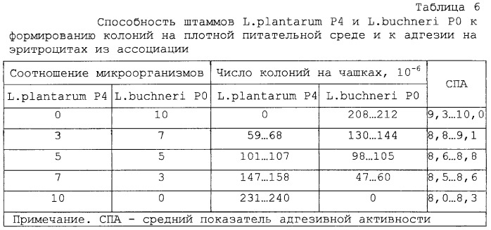 Штамм бактерий lactobacillus plantarum p4, штамм бактерий lactobacillus buchneri p0 и препарат-пробиотик на их основе для коррекции дисбактериозов различной этиологии у людей и животных (патент 2247148)