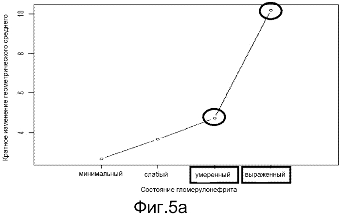 Способ и набор для диагностики гломерулонефрита у кошки (патент 2564122)