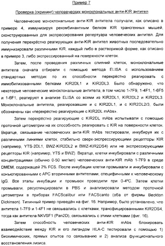 Антитела, связывающиеся с рецепторами kir2dl1,-2,-3 и не связывающиеся с рецептором kir2ds4, и их терапевтическое применение (патент 2410396)