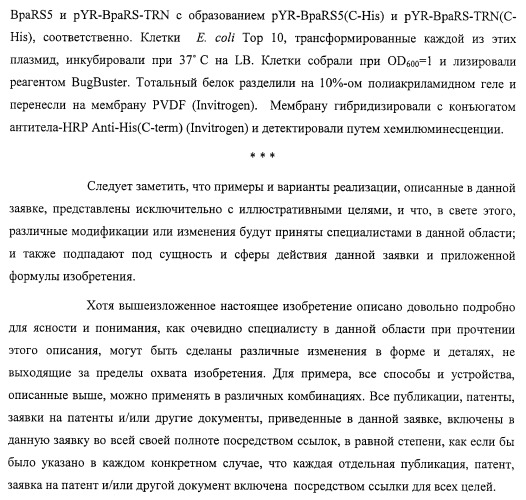 Система экспрессии компонентов ортогональной трансляции в эубактериальной клетке-хозяине (патент 2467069)
