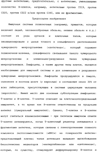Лечение в-клеточных злокачественных опухолей с использованием комбинации применений, связанных с антителами, уменьшающими количество b-клеток, и с иммуномодулирующими антителами (патент 2306952)