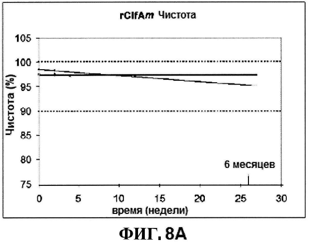 Стабильные иммуногенные композиции антигенов staphylococcus aureus (патент 2570730)