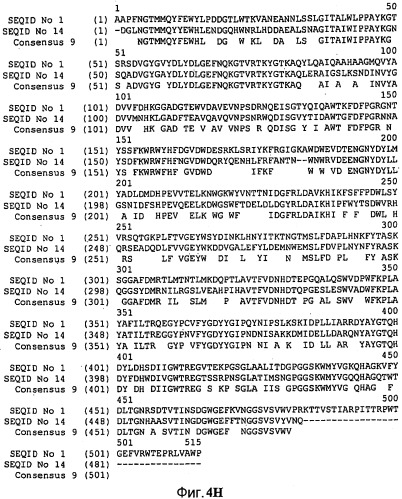 Варианты альфа-амилазы с измененными свойствами (патент 2499044)