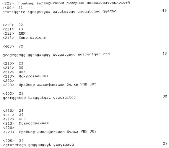 Мономерный домен vhh, полученный из анти-vp6-антител верблюдовых, димерный домен, способ иммунизации, способ выявления ротавирусов, композиция, способы профилактики и лечения ротавирусных инфекций (патент 2490275)