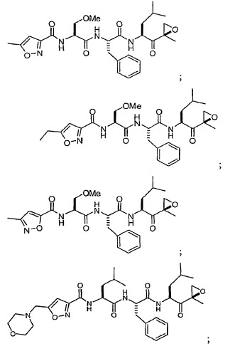 Соединения для ингибирования фермента (патент 2453556)