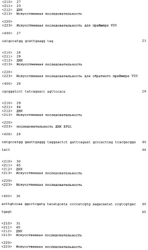 Выделение и очистка белка (патент 2420585)