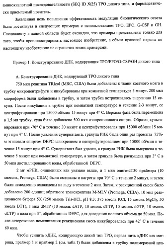 Вариант еро, обладающий повышенным сродством связывания с рецептором и сниженным антигенным потенциалом, днк, кодирующая такой вариант еро, рекомбинантный экспрессионный вектор, содержащий такую днк, клетка-хозяин, трансформированная или трансфектированная таким вектором, способ получения такого варианта еро и фармацевтическая композиция, содержащая такой вариант еро (патент 2432360)