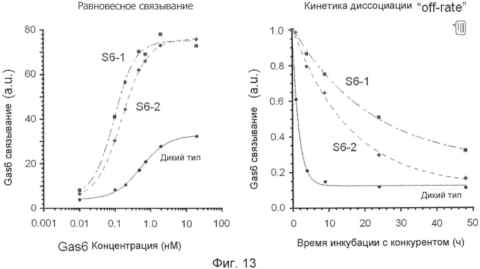 Ингибирование axl сигнализации в антиметастатической терапии (патент 2556822)