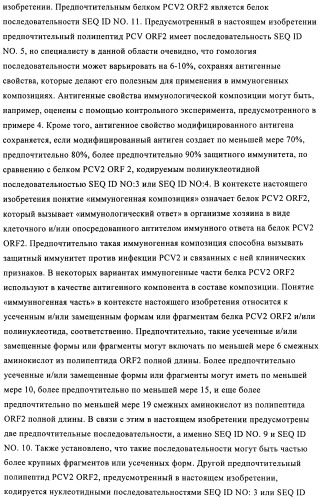 Поливалентные иммуногенные композиции pcv2 и способы получения таких композиций (патент 2488407)