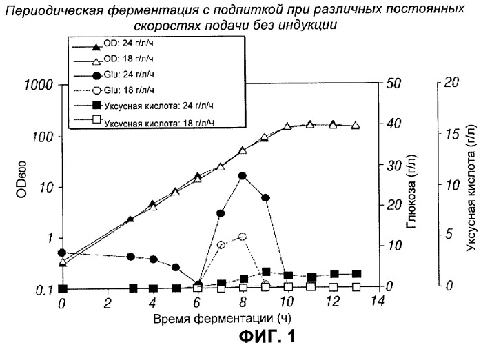 Процесс периодической ферментации с подпиткой при высокой плотности клеток для получения рекомбинантного белка (патент 2451070)