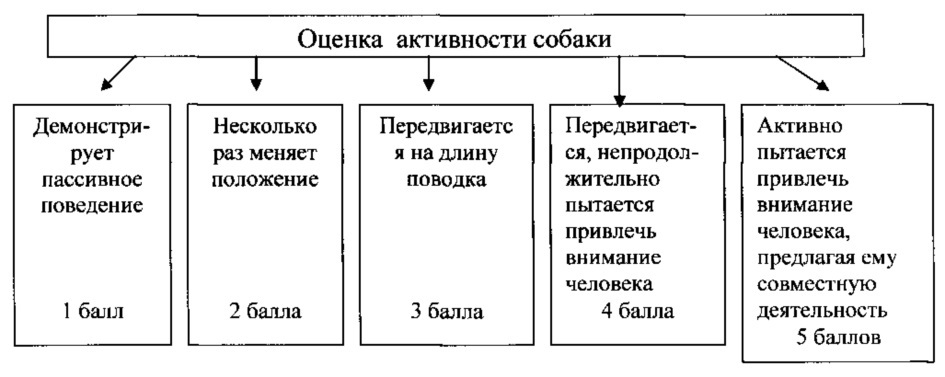 Способ определения рабочих качеств служебных собак (патент 2621382)