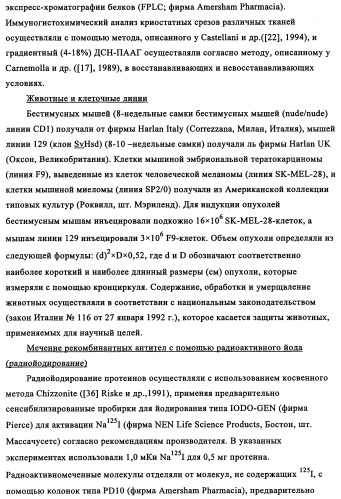 Избирательный направленный перенос в сосудистую сеть опухоли с использованием молекул антител (патент 2347787)