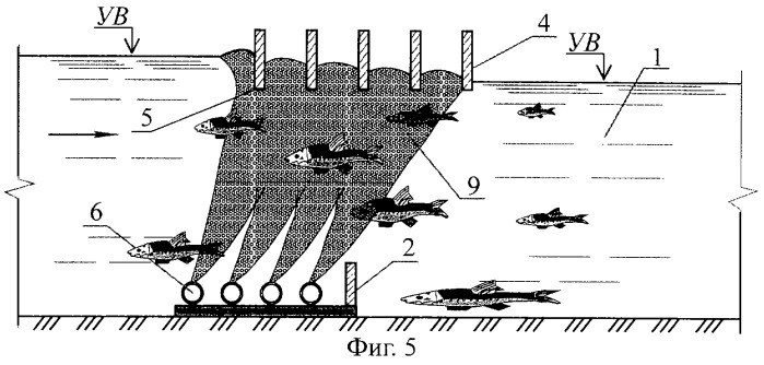Рыбоход (варианты) (патент 2249653)
