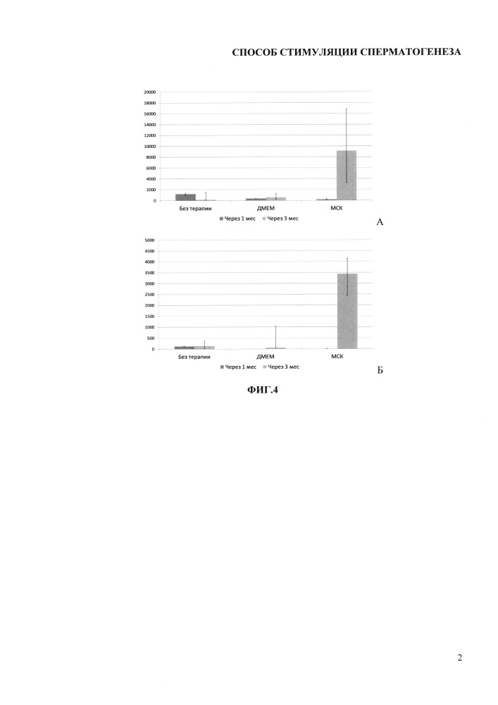 Способ стимуляции сперматогенеза (патент 2653779)