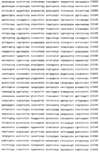 Применение рам (патент 2345785)