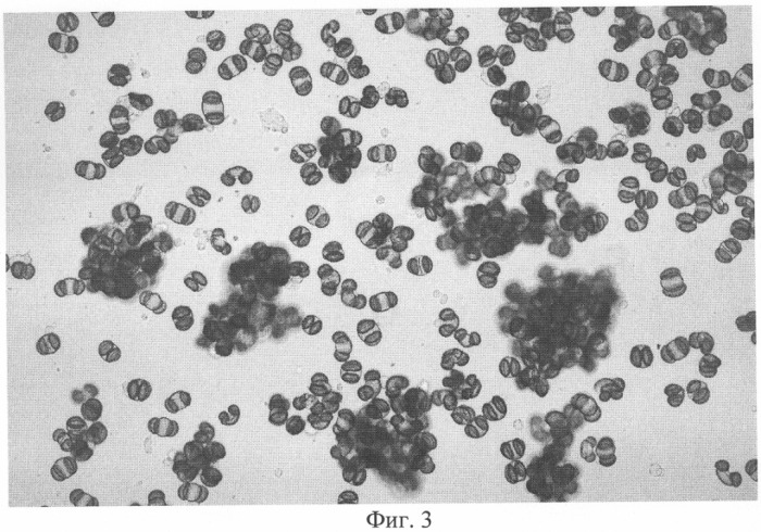 Микроноситель для культивирования субстратзависимых клеток животных in vitro (патент 2328527)