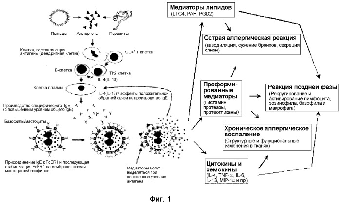 Соединения 2, 4-пиримидиндиамина, обладающие воздействием при аутоиммунных расстройствах (патент 2356901)