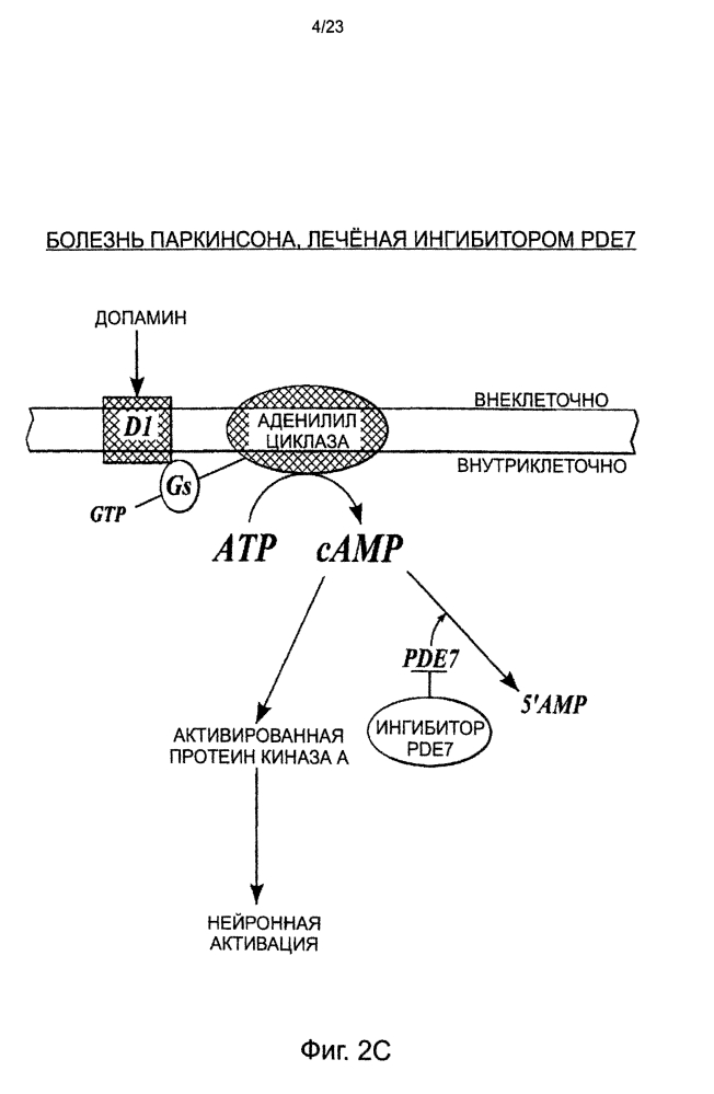 Использование ингибиторов pde7 для лечения нарушений движений (патент 2600869)