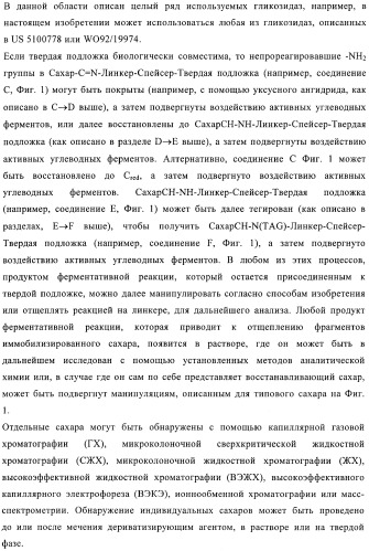 Твердофазное тегирование олигосахаридов: методика для манипуляции с иммобилизированными углеводами (патент 2398237)