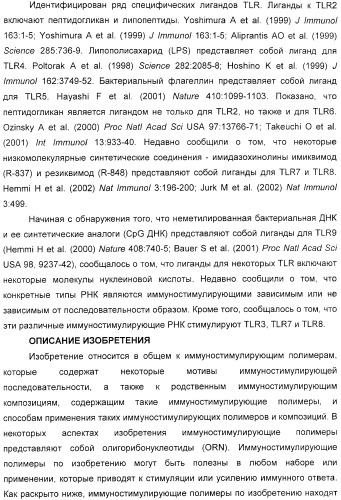 Мотивы последовательности рнк в контексте определенных межнуклеотидных связей, индуцирующие специфические иммуномодулирующие профили (патент 2435851)