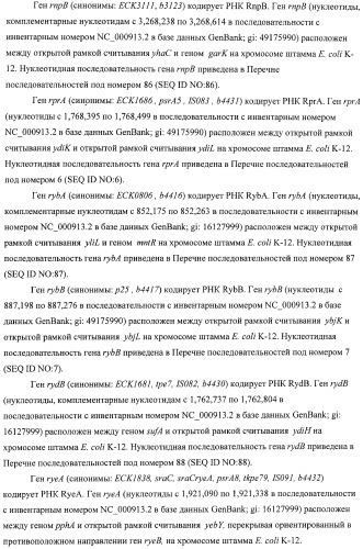 Способ получения l-аминокислот с использованием бактерии, принадлежащей к роду escherichia, в которой инактивирован один или несколько генов, кодирующих малые рнк (патент 2395567)