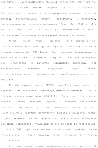 Слитые белки альбумина (патент 2369404)