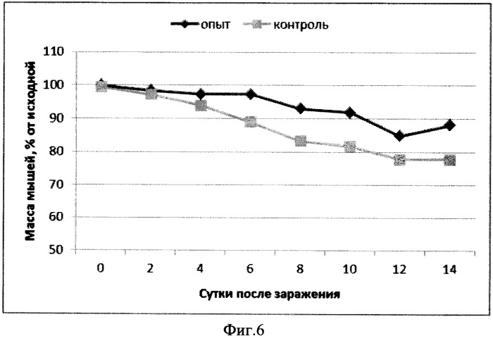 Вакцина для профилактики и лечения ротавирусной инфекции, содержащая гибридный белок в качестве активного агента (варианты) (патент 2539913)