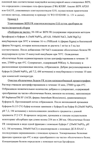 Упакованные иммуностимулирующей нуклеиновой кислотой частицы, предназначенные для лечения гиперчувствительности (патент 2451523)