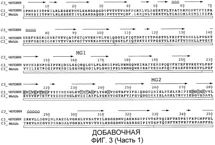 Антитела против c3b и способы профилактики и лечения связанных с комплементом нарушений (патент 2473563)