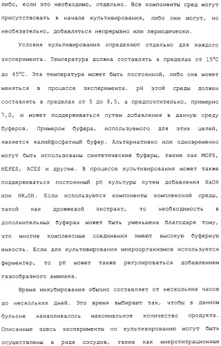 Гены corynebacterium glutamicum, кодирующие белки метаболических путей (патент 2306339)