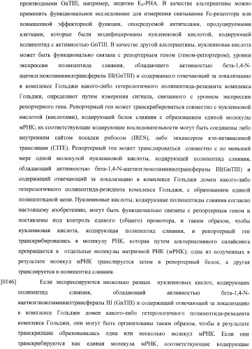 Конструкции слияния и их применение для получения антител с повышенными аффинностью связывания fc-рецептора и эффекторной функцией (патент 2407796)