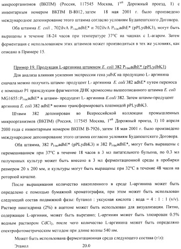 Способ получения l-аминокислоты с использованием бактерии, принадлежащей к роду escherichia (патент 2395579)