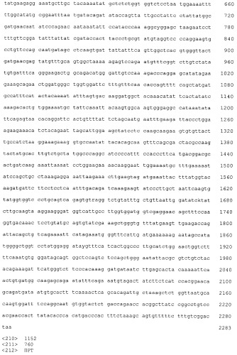 Pscaxcd3, cd19xcd3, c-metxcd3, эндосиалинxcd3, epcamxcd3, igf-1rxcd3 или fap-альфаxcd3 биспецифическое одноцепочечное антитело с межвидовой специфичностью (патент 2547600)