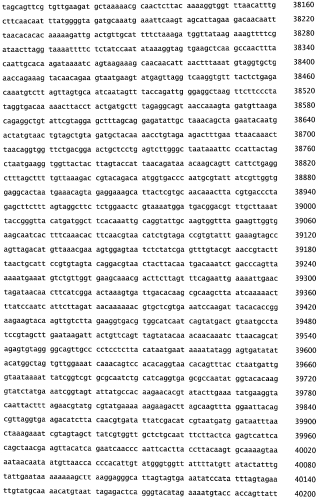 Бактериофаг, обладающий активностью против pseudomonas aeruginosa, белки бактериофага и способы их применения (патент 2580248)
