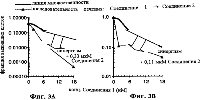 Композиция аналога эпотилона в сочетании с химиотерапевтическими агентами для лечения рака (патент 2321400)