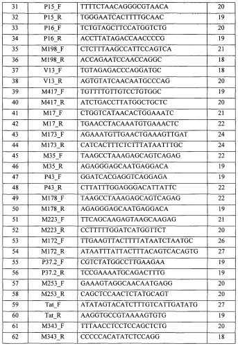 Способ, тест-система и праймеры для определения гаплогрупп y-хромосомы человека (патент 2558231)