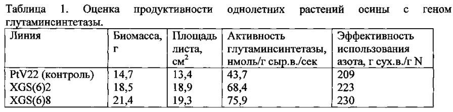 Трансгенное растение осины с повышенной продуктивностью и модифицированной древесиной (патент 2593722)