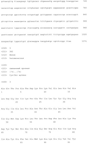 Стабильная рекомбинантная аденозиндеаминаза (патент 2486246)