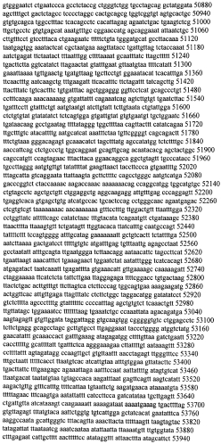 Модуляция экспрессии гентингтина (патент 2562861)