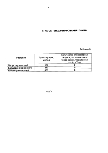 Способ биодренирования почвы (патент 2579208)