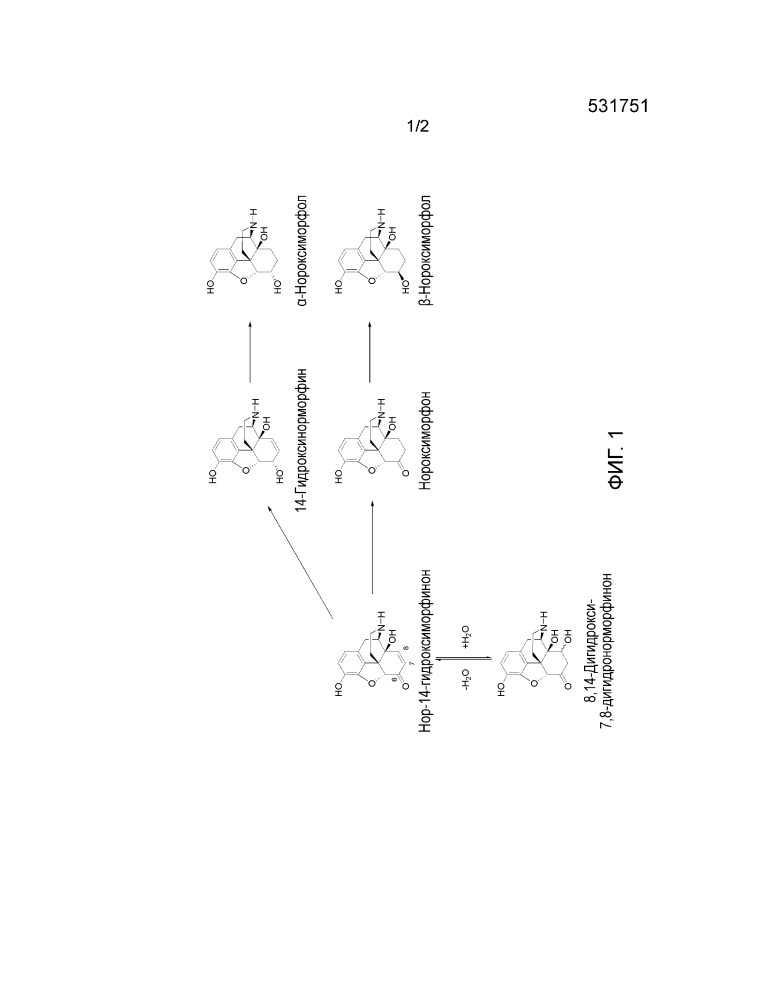 Способ получения соединений морфинан-6-она (патент 2652786)