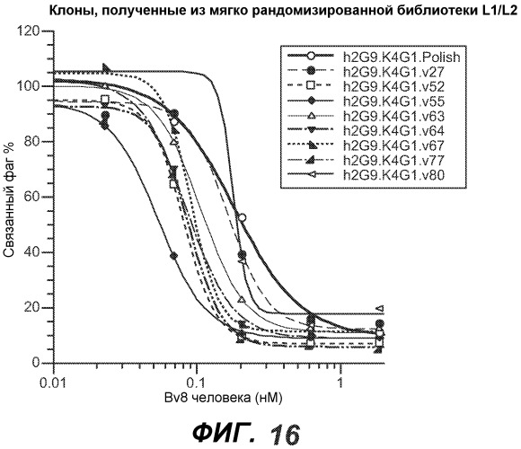 Антитела против bv8 и их применение (патент 2559542)