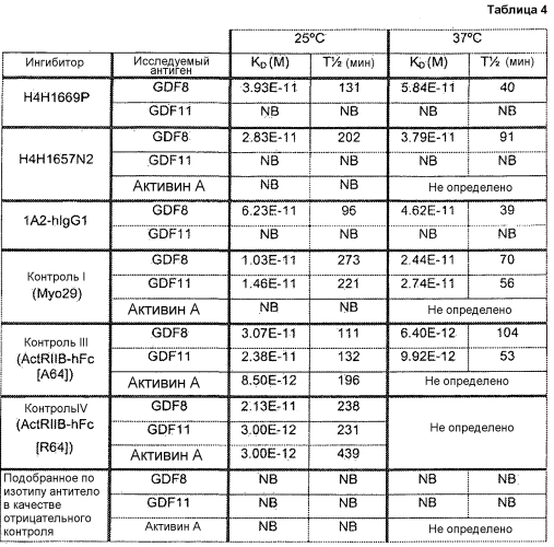 Антитела против gdf8 человека (патент 2567805)