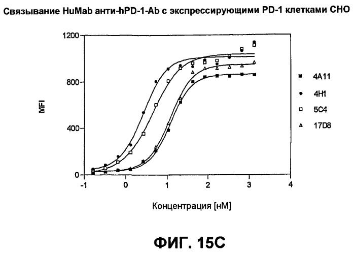 Моноклональные антитела человека к белку программируемой смерти 1 (pd-1) и способы лечения рака с использованием анти-pd-1-антител самостоятельно или в комбинации с другими иммунотерапевтическими средствами (патент 2494107)