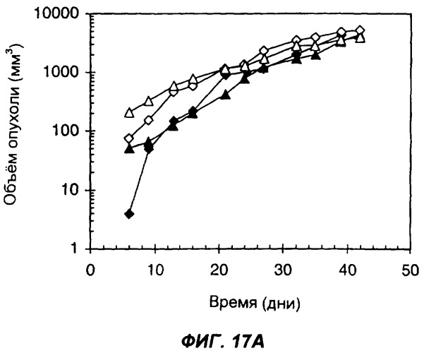 Комплексы антител с несколькими цитокинами (патент 2263118)
