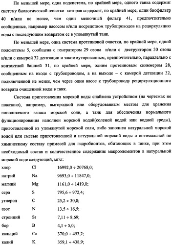 Система жизнеобеспечения группы танков океанариума (варианты) (патент 2343703)