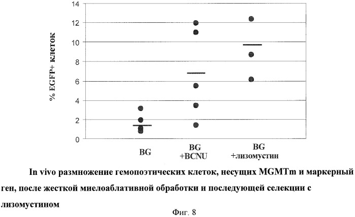 Способ селекции клеток in vivo с помощью лизомустина (патент 2425149)
