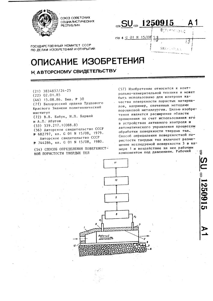 Способ определения поверхностной пористости твердых тел (патент 1250915)